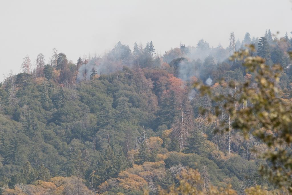 Grass Valley Fire on Dave Bullock / eecue