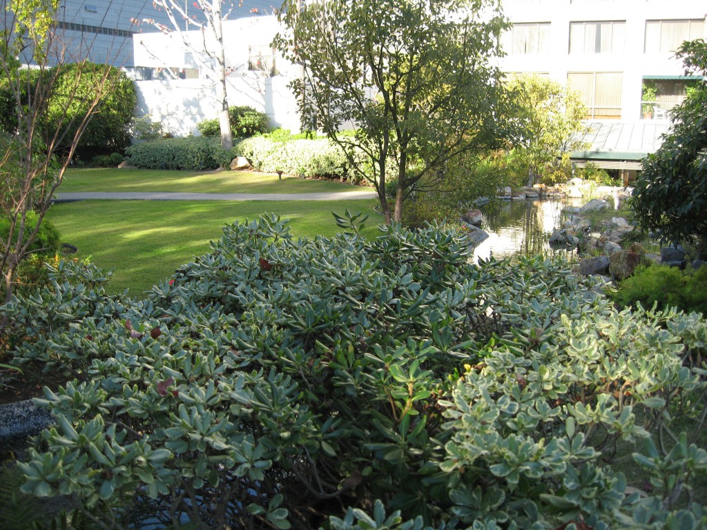 New Otani Garden