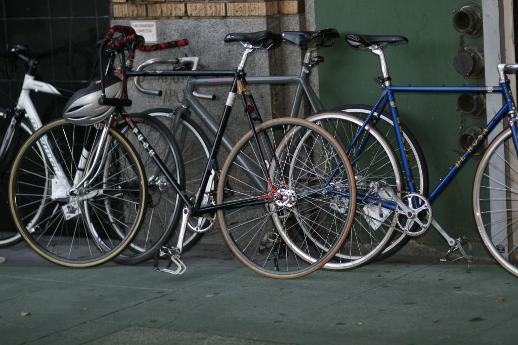fixed gears