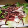 tentacles